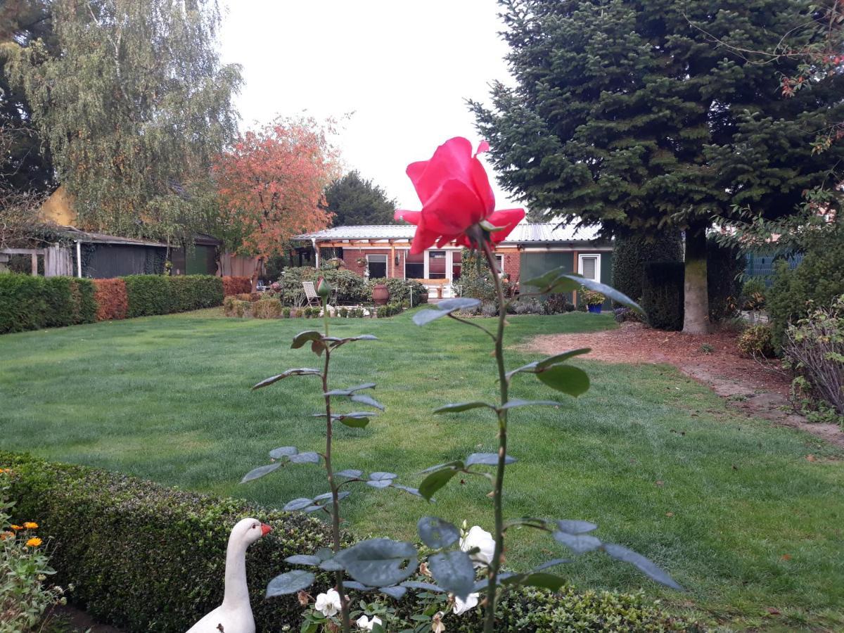 Haus Birkenheim Villa Hatten ภายนอก รูปภาพ